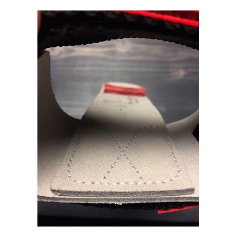  Paracalli femm. prof.