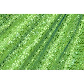 Lurex Verde fluo Olo 441