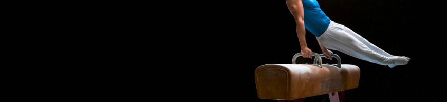 Ginnastica artistica