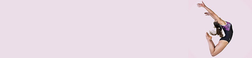 Ginnastica artistica